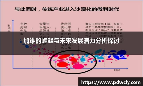 加维的崛起与未来发展潜力分析探讨