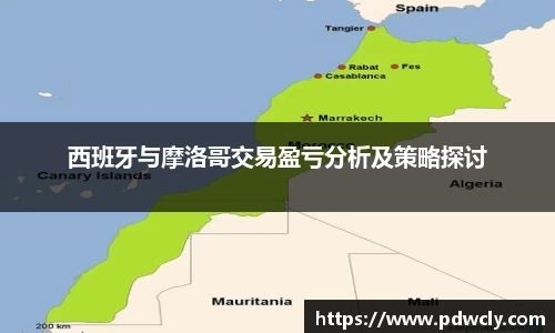 西班牙与摩洛哥交易盈亏分析及策略探讨