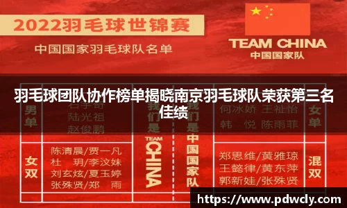 羽毛球团队协作榜单揭晓南京羽毛球队荣获第三名佳绩