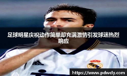 足球明星庆祝动作简单却充满激情引发球迷热烈响应
