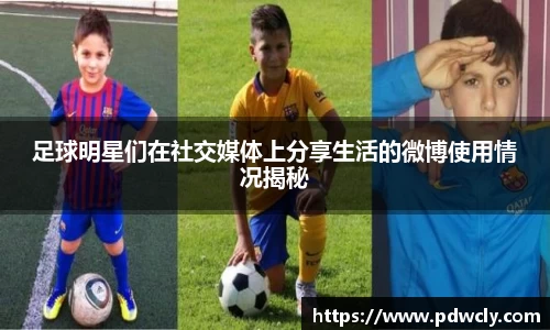 足球明星们在社交媒体上分享生活的微博使用情况揭秘
