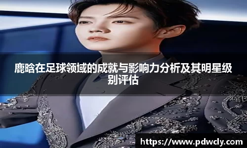 鹿晗在足球领域的成就与影响力分析及其明星级别评估