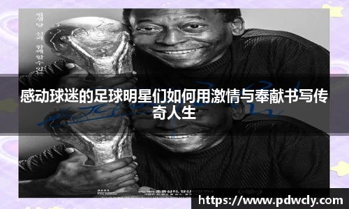 感动球迷的足球明星们如何用激情与奉献书写传奇人生