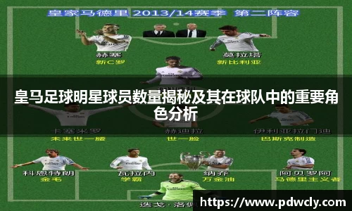 皇马足球明星球员数量揭秘及其在球队中的重要角色分析